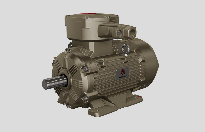 低壓高效IE4三相異步電動機(jī)